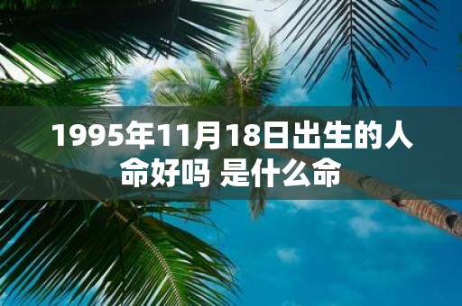 1995年11月18日出生的人命好吗 是什么命
