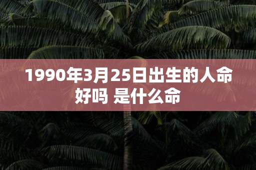 1990年3月25日出生的人命好吗 是什么命