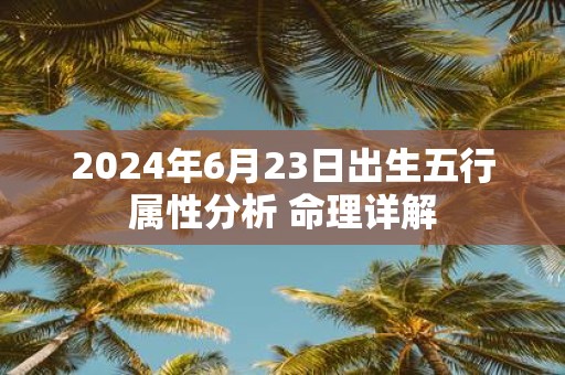 2025年6月23日出生五行属性分析 命理详解