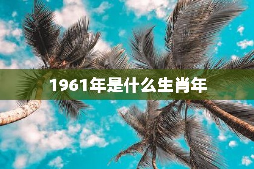 1961年是什么生肖年