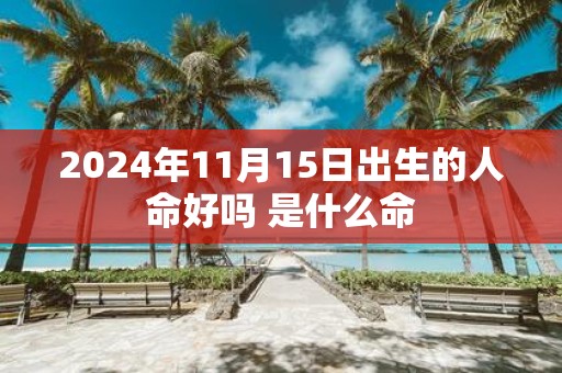 2025年11月15日出生的人命好吗 是什么命