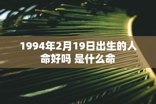 1994年2月19日出生的人命好吗 是什么命