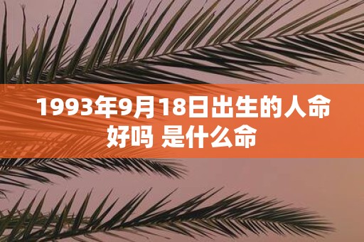 1993年9月18日出生的人命好吗 是什么命