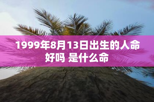 1999年8月13日出生的人命好吗 是什么命