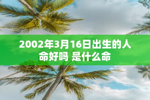 2002年3月16日出生的人命好吗 是什么命