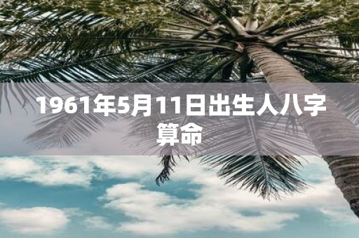 1961年5月11日出生人八字算命