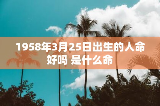 1958年3月25日出生的人命好吗 是什么命