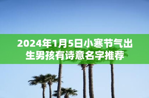 2025年1月5日小寒节气出生男孩有诗意名字推荐