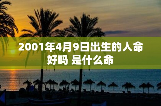 2001年4月9日出生的人命好吗 是什么命