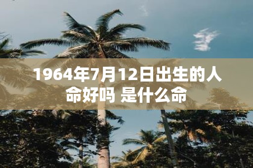 1964年7月12日出生的人命好吗 是什么命
