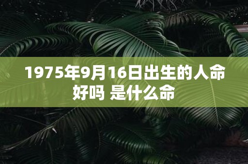 1975年9月16日出生的人命好吗 是什么命