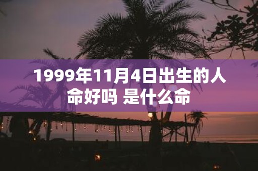 1999年11月4日出生的人命好吗 是什么命