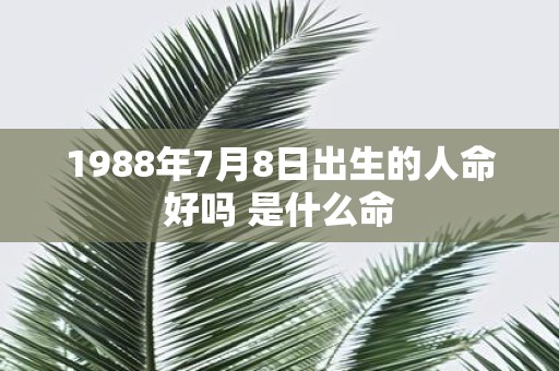 1988年7月8日出生的人命好吗 是什么命