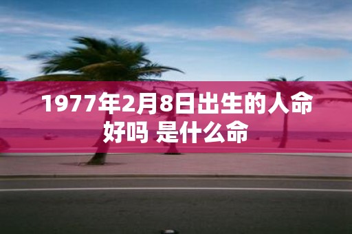 1977年2月8日出生的人命好吗 是什么命