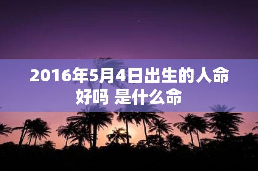 2016年5月4日出生的人命好吗 是什么命