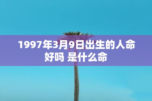 1997年3月9日出生的人命好吗 是什么命