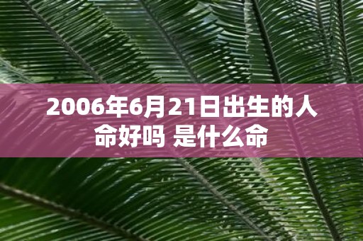 2006年6月21日出生的人命好吗 是什么命