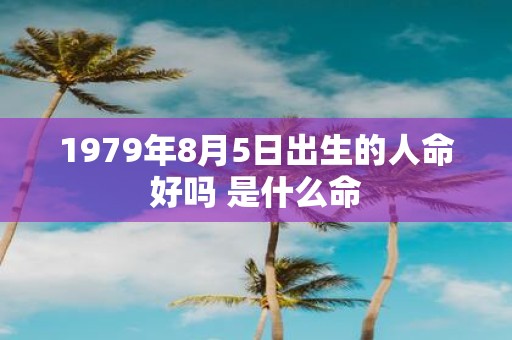 1979年8月5日出生的人命好吗 是什么命