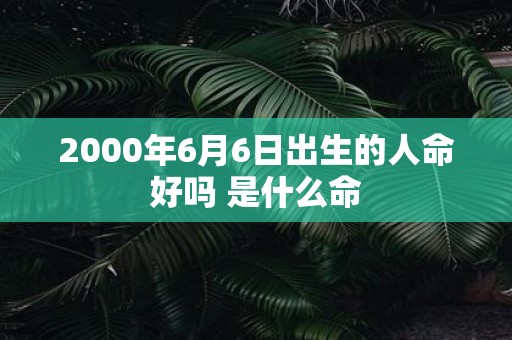 2000年6月6日出生的人命好吗 是什么命