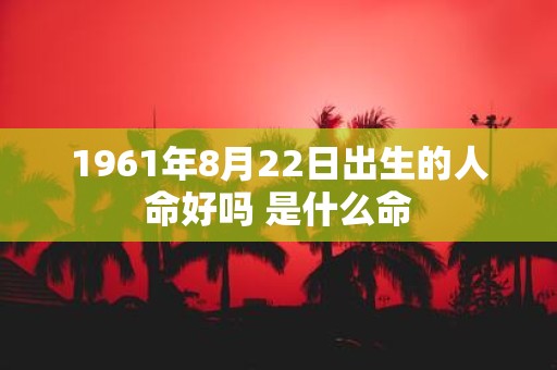1961年8月22日出生的人命好吗 是什么命