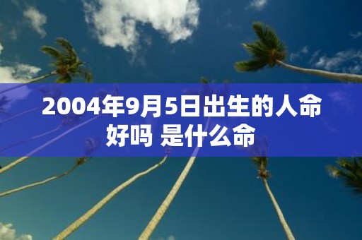 2004年9月5日出生的人命好吗 是什么命