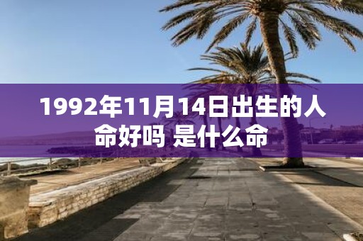 1992年11月14日出生的人命好吗 是什么命