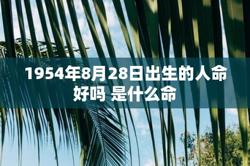 1954年8月28日出生的人命好吗 是什么命