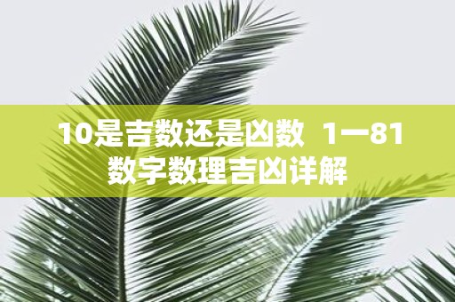 10是吉数还是凶数 1一81数字数理吉凶详解