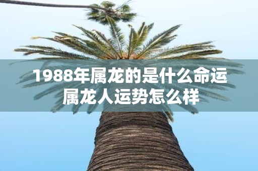 1988年属龙的是什么命运 属龙人运势怎么样
