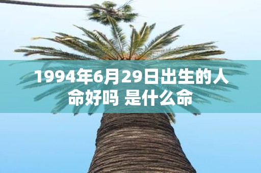 1994年6月29日出生的人命好吗 是什么命