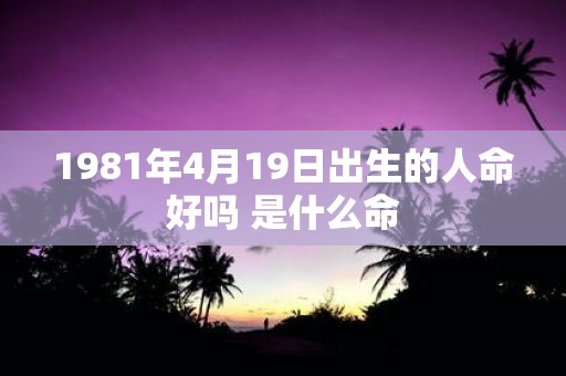 1981年4月19日出生的人命好吗 是什么命