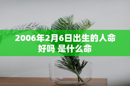 2006年2月6日出生的人命好吗 是什么命
