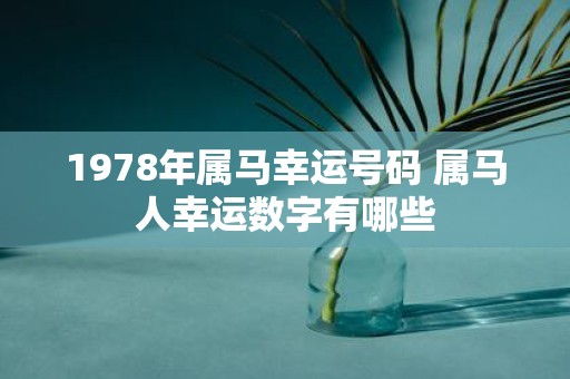 1978年属马幸运号码 属马人幸运数字有哪些