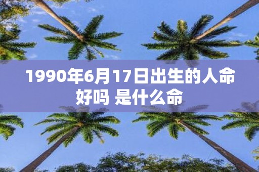 1990年6月17日出生的人命好吗 是什么命