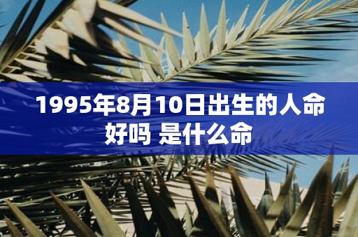 1995年8月10日出生的人命好吗 是什么命
