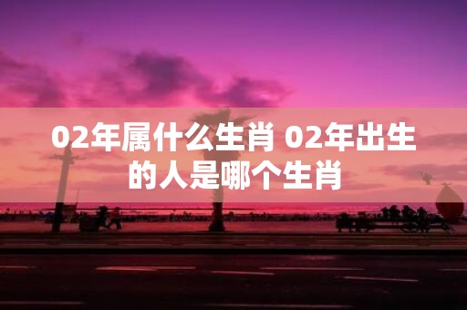 02年属什么生肖 02年出生的人是哪个生肖