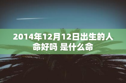 2014年12月12日出生的人命好吗 是什么命