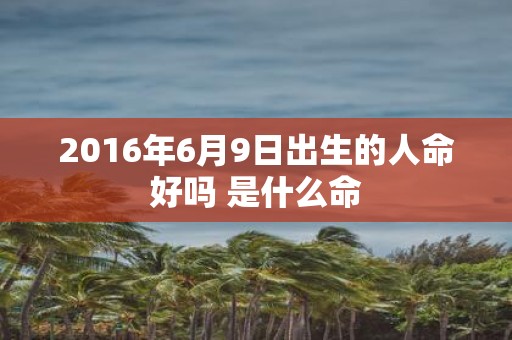 2016年6月9日出生的人命好吗 是什么命