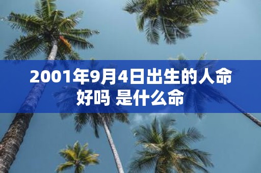2001年9月4日出生的人命好吗 是什么命
