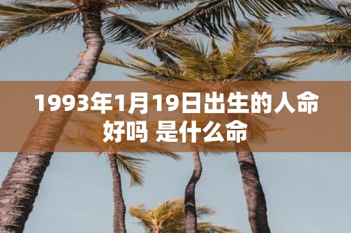 1993年1月19日出生的人命好吗 是什么命