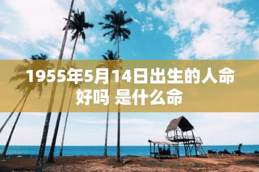 1955年5月14日出生的人命好吗 是什么命
