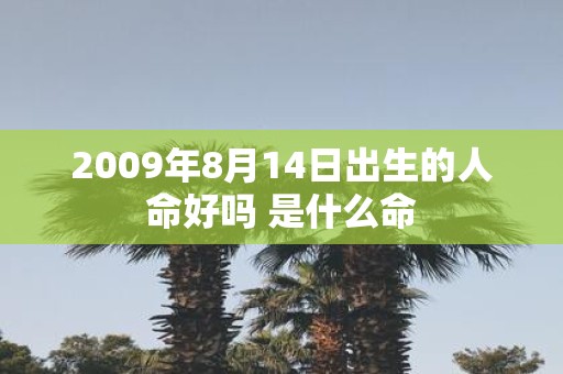 2009年8月14日出生的人命好吗 是什么命