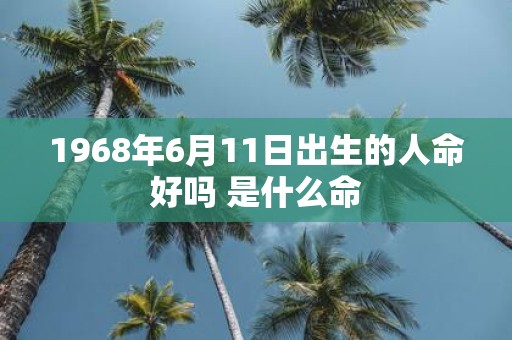 1968年6月11日出生的人命好吗 是什么命