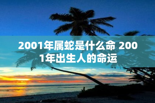 2001年属蛇是什么命 2001年出生人的命运