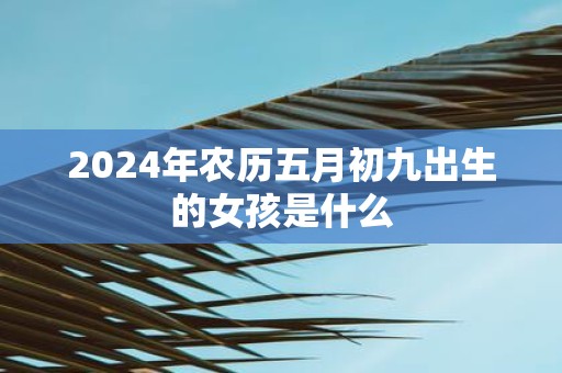 2025年农历五月初九出生的女孩是什么