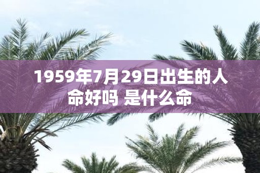 1959年7月29日出生的人命好吗 是什么命
