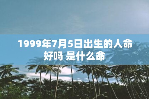 1999年7月5日出生的人命好吗 是什么命