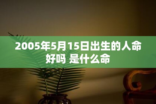 2005年5月15日出生的人命好吗 是什么命