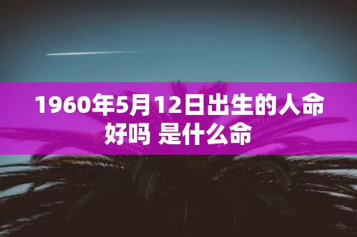 1960年5月12日出生的人命好吗 是什么命