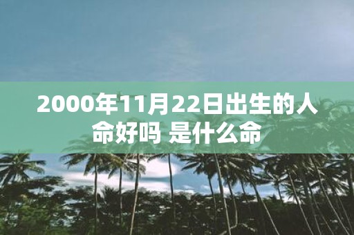 2000年11月22日出生的人命好吗 是什么命